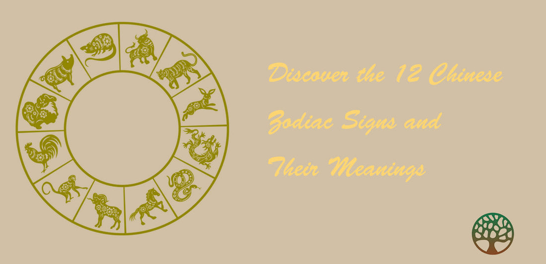 Discover the 12 Chinese Zodiac Signs and Their Meanings