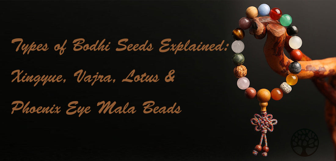 Types of Bodhi Seeds Explained: Xingyue, Vajra, Lotus & Phoenix Eye Mala Beads